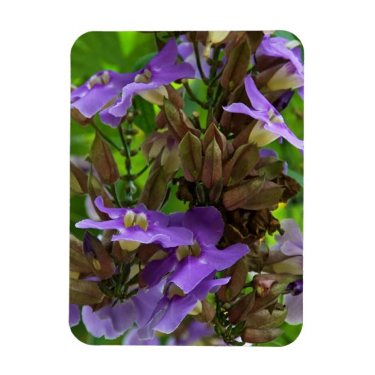 Magnet - Blue Ginger (Vertikal)