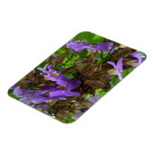 Magnet - Blue Ginger (Linke Seite)