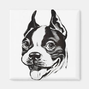 Magnet Bostons Terrier