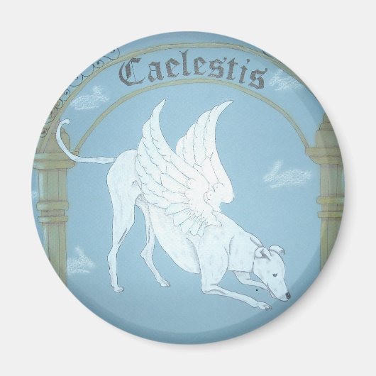 Magnet Caelestis "Hund of Heaven" (Vorne)