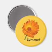 Magnet - Calendula an Steppe (Vorderseite/Rückseite)