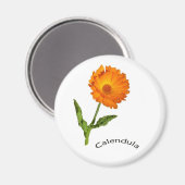 Magnet - Calendula und Text (Vorderseite/Rückseite)