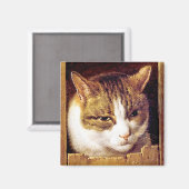 Magnet: "Cat Peeping through a Zence" Magnet (Vorderseite/Rückseite)
