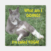 Magnet Cat Yoga (Vorne)