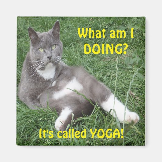 Magnet Cat Yoga (Vorne)