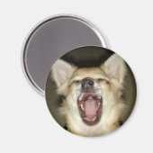 Magnet Chihuahua Foto Perso (Vorderseite/Rückseite)