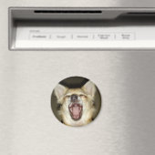 Magnet Chihuahua Foto Perso (In Situ (Geschirrspüler))