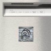 Magnet Cleveleys Sea Muschel (In Situ (Geschirrspüler))