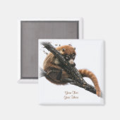 Magnet: Coatimundi #5 (Platz) Magnet (Vorderseite/Rückseite)