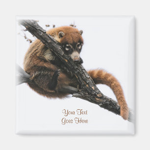 Magnet: Coatimundi #5 (Quadrat) Magnet