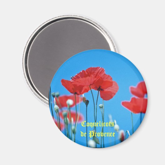 Magnet Coquelicot (Vorderseite/Rückseite)
