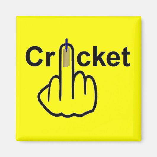 Magnet Cricket Gedreht (Vorne)