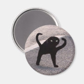 Magnet Cursed Cat Meme (Vorderseite/Rückseite)