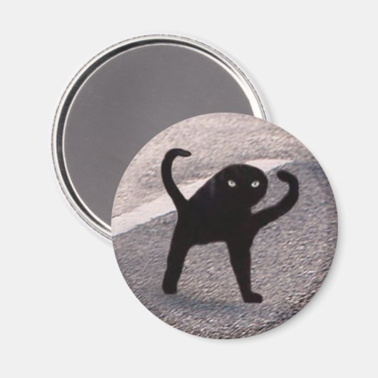 Magnet Cursed Cat Meme (Vorderseite/Rückseite)