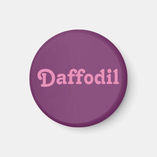 Magnet Daffodil (Vorne)