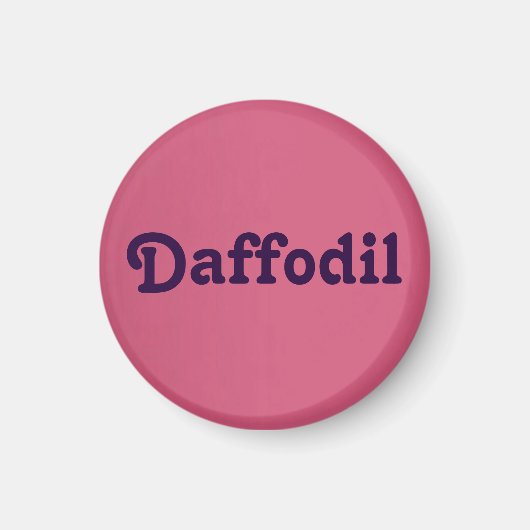 Magnet Daffodil (Vorne)