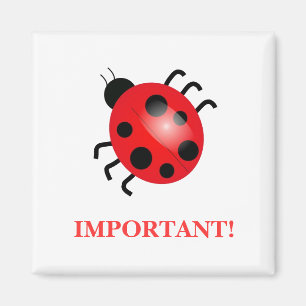 Magnet Damen-Bug