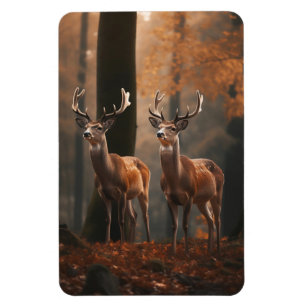 Magnet-Deer Magnet