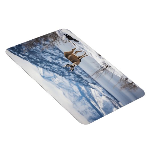 Magnet-Deer Magnet (Rechte Seite)