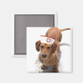 Magnet der Dackel (Vorderseite/Rückseite)