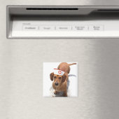 Magnet der Dackel (In Situ (Geschirrspüler))