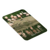 Magnet - der Flamingos im Zoo von Bronx (Rechte Seite)