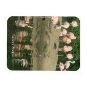 Magnet - der Flamingos im Zoo von Bronx (Horizontal)