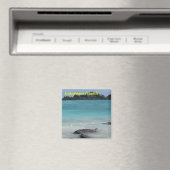 Magnet der Galapagos-Inseln (In Situ (Geschirrspüler))