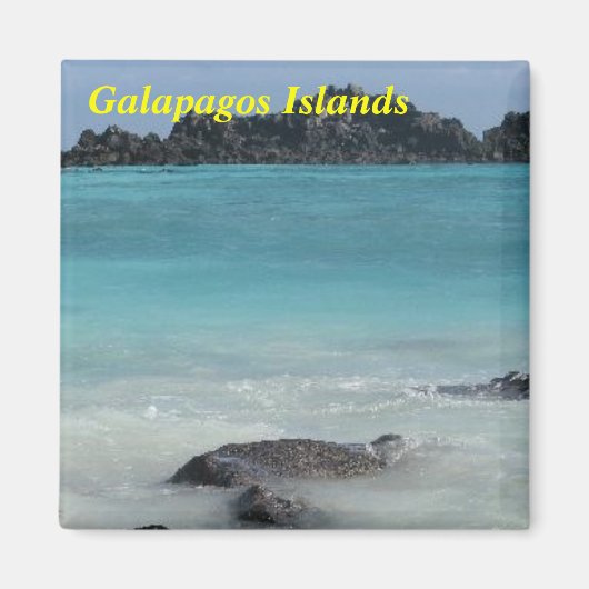 Magnet der Galapagos-Inseln (Vorne)