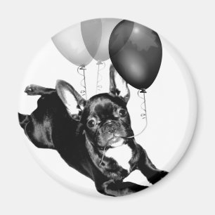 Magnet der Geburtstags-französischen Bulldogge