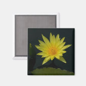 Magnet der Gelben Lotus-Wasserlilien (Vorderseite/Rückseite)