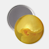Magnet der Gelben Rose (Vorderseite/Rückseite)