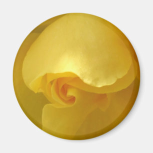 Magnet der Gelben Rose