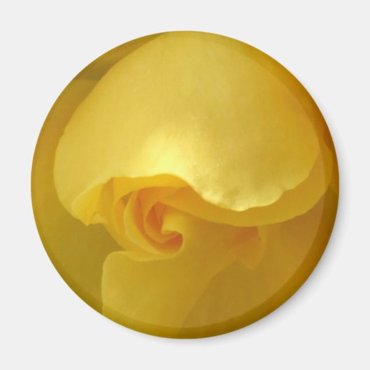 Magnet der Gelben Rose (Vorne)