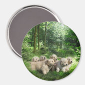 Magnet der goldenen Welpen (Vorderseite/Rückseite)