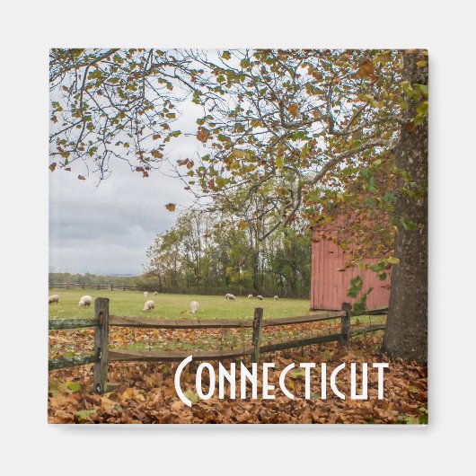 Magnet der Herbstfarm Connecticut (Vorne)