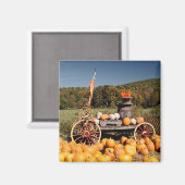 Magnet der Herbstpumpe (Vorderseite/Rückseite)