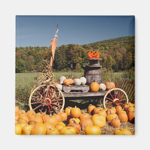 Magnet der Herbstpumpe