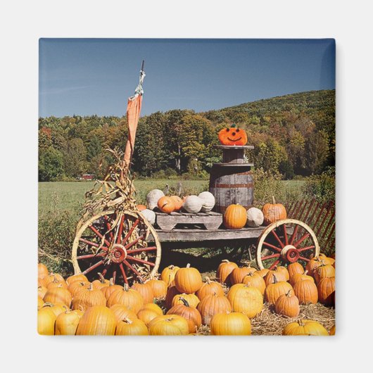 Magnet der Herbstpumpe (Vorne)