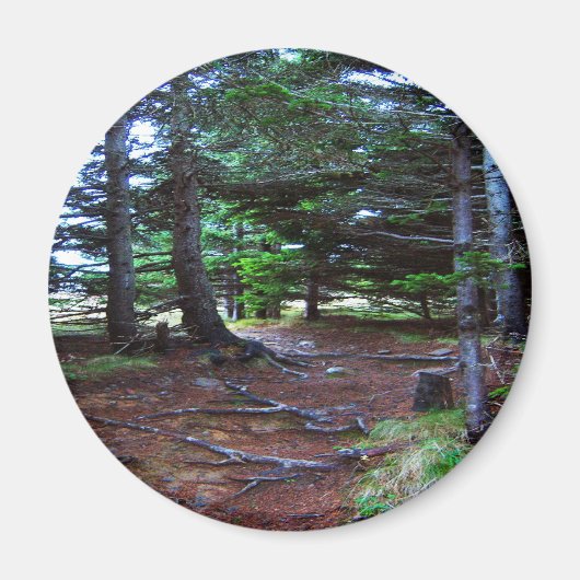 Magnet der Naturtreppe (Vorne)