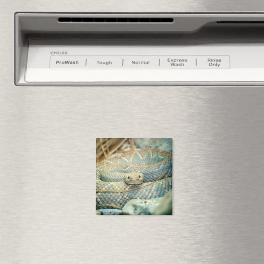 Magnet der Rattlesnake (In Situ (Geschirrspüler))