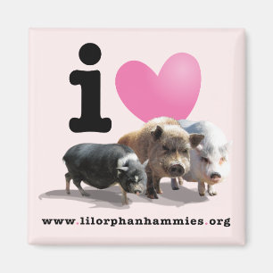 Magnet der Schwein-I <3