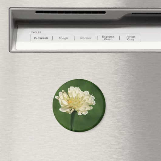 Magnet der weißen Blume (In Situ (Geschirrspüler))