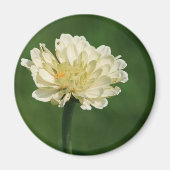 Magnet der weißen Blume (Vorne)