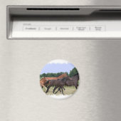 Magnet der Wilden Pferde (In Situ (Geschirrspüler))
