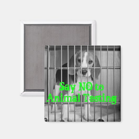 Magnet des Beagle "Nein zu Tierversuchen" (Vorderseite/Rückseite)