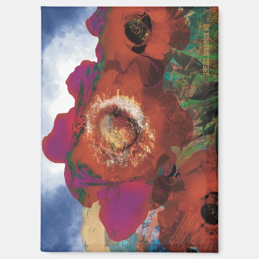 Magnet des Friedens (Vorderseite)