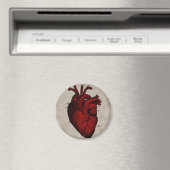 Magnet des menschlichen Herzens (In Situ (Geschirrspüler))