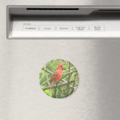 Magnet des nördlichen Kardinals (In Situ (Geschirrspüler))