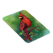 Magnet des nördlichen Roten Kardinals (Rechte Seite)